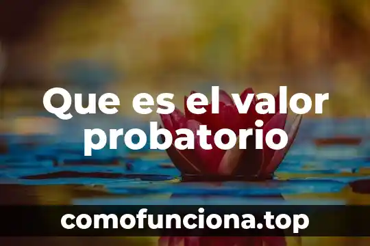 Que es valor de verdad geometria 4 Que es el valor probatorio