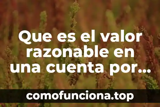 Que es cuenta mx en bancomer movil 5 Que es el valor razonable en una cuenta por cobrar