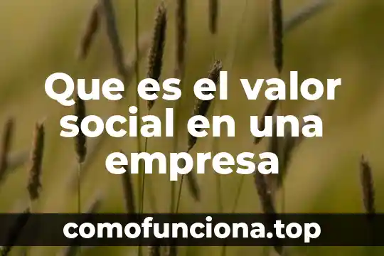 Qué es el nombre fiscal de una empresa 5 Que es el valor social en una empresa