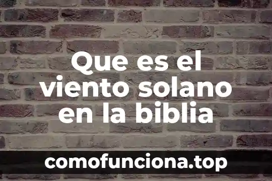 Que es la flor del viento y para que sirve 4 Que es el viento solano en la biblia