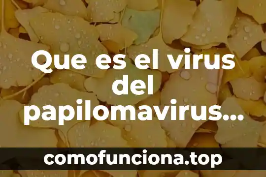 En el ser humano que es el cloro 4 Que es el virus del papilomavirus humano