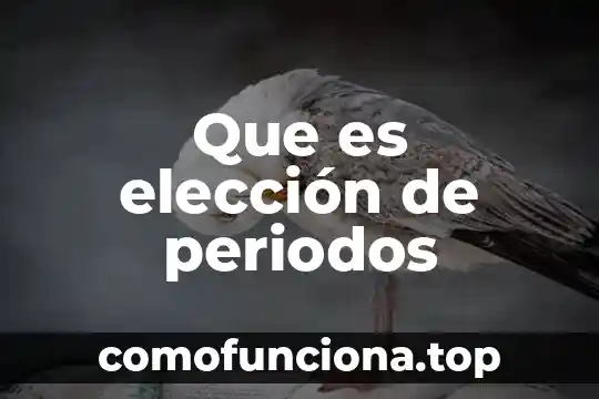 Que es la eleccion del problema 4 Que es elección de periodos