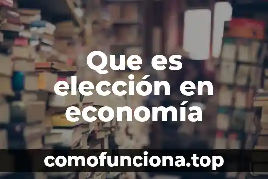 Que es elección de periodos 4 Que es elección en economía