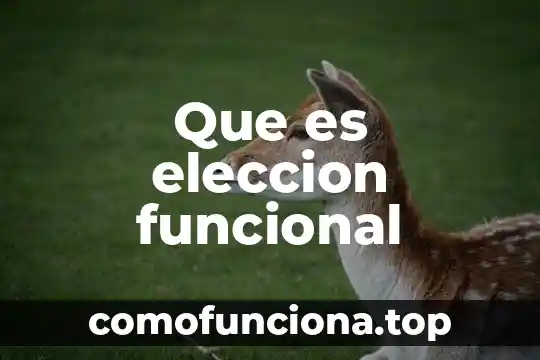 Que es elección de periodos 3 Que es eleccion funcional