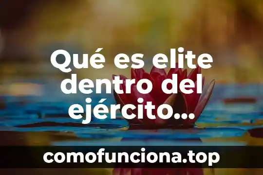 Gifs de lo que es ser mexicano 7 Qué es elite dentro del ejército mexicano