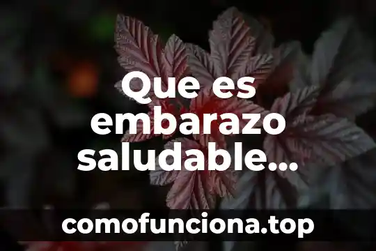 Que es el arte renacentista definicion 4 Que es embarazo saludable definicion