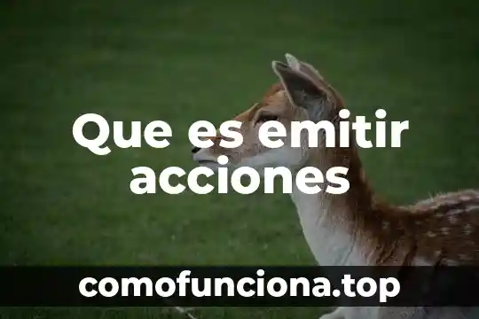 Que es capital dividido en acciones 6 Que es emitir acciones