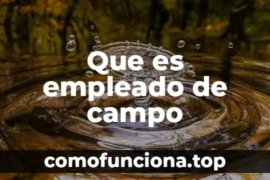 Qué es el empleado concepto jurídico 7 Que es empleado de campo