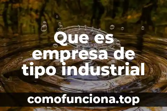 Que es tipo de tematica 3 Que es empresa de tipo industrial