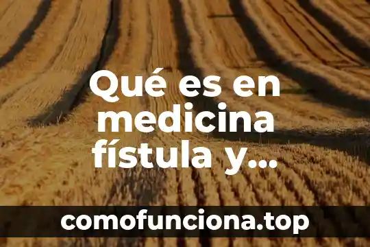 Artículo 88 que es marca 4 Qué es en medicina fístula y fistolectomía