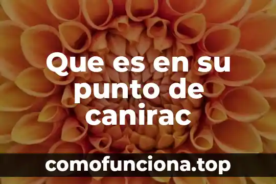 Qué es un punto de vista de planta 7 Que es en su punto de canirac