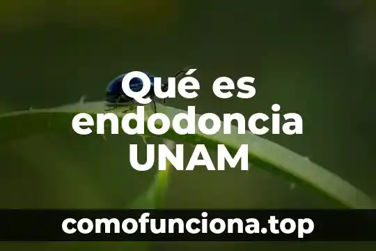 Que es el materialismo historico unam 5 Qué es endodoncia UNAM