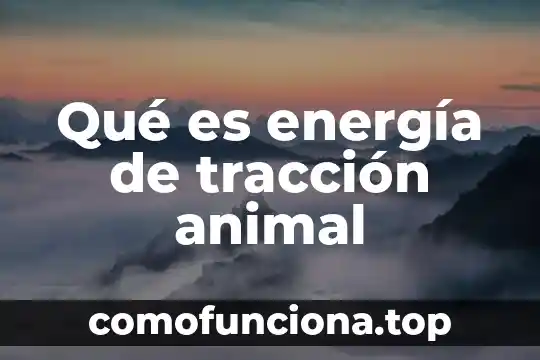 Qué es tracción integral y 4x4 4 Qué es energía de tracción animal