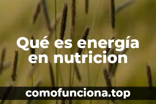 Qué es la fibra nutrición animal 4 Qué es energía en nutricion