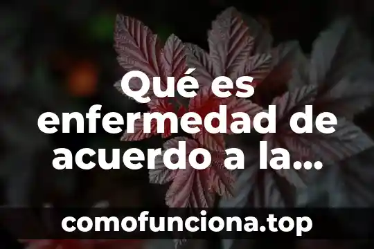 Nombre de la enfermedad que es perdida de memoria 5 Qué es enfermedad de acuerdo a la oms
