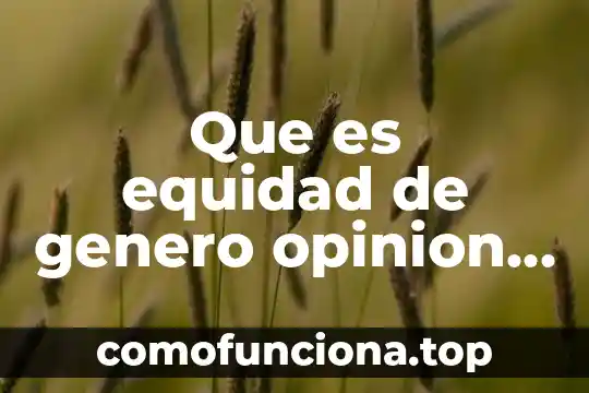 Que es valores de equidad 4 Que es equidad de genero opinion personal