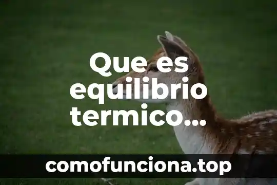 Qué es un recipiente térmico y cómo funciona 3 Que es equilibrio termico dibujos