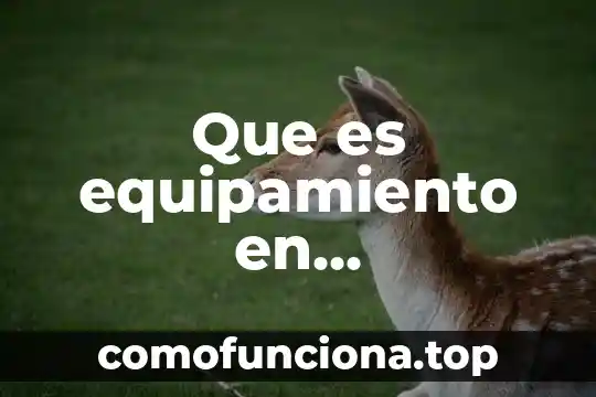 Qué es un frontón en arquitectura 3 Que es equipamiento en arquitectura