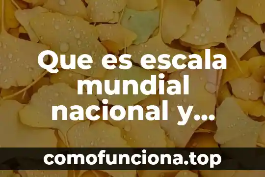 Que es la escala del conocimiento 6 Que es escala mundial nacional y estatal