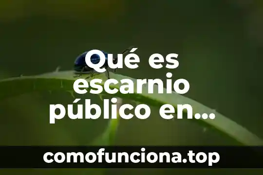 Qué es el pabellón nacional de Colombia 3 Qué es escarnio público en Colombia