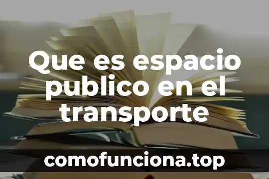 Que es una direccion como ente publico 6 Que es espacio publico en el transporte