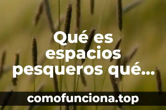 Que es un formato m4v significa 6 Qué es espacios pesqueros qué significa
