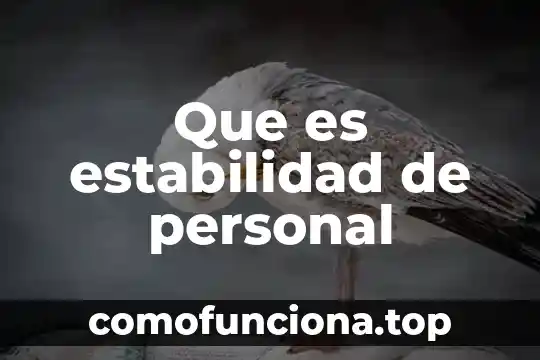 Que es ser tumblr girl 3 Que es estabilidad de personal