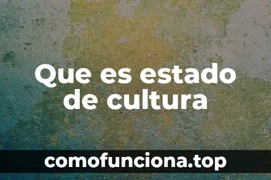 Que es el aumento de salario minimo definicion 5 Que es estado de cultura