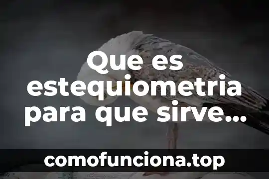 En la mitología griega que es mas que un dios 6 Que es estequiometria para que sirve y mas