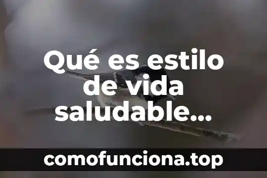 Que es el estilo de vida saludable en alimentaci贸n 7 Qu茅 es estilo de vida saludable definici贸n