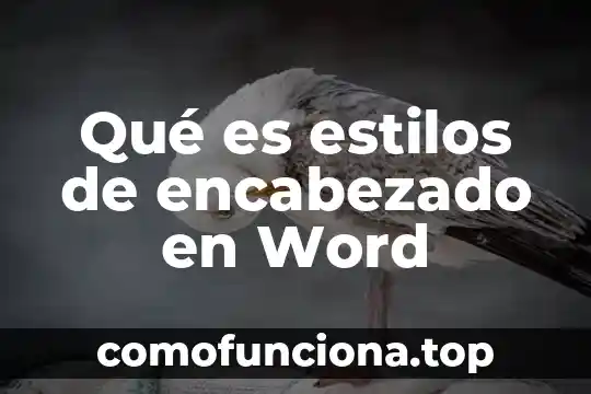 Que es un encabezado en un libro 5 Qué es estilos de encabezado en Word