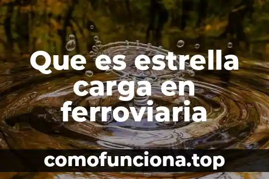 Que es la carga entera 6 Que es estrella carga en ferroviaria