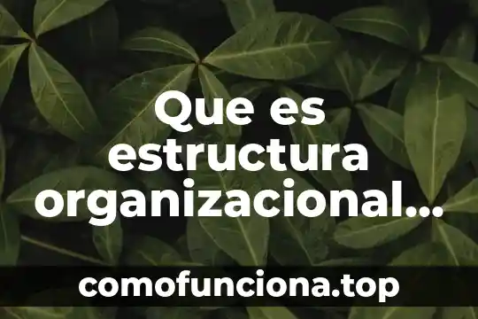 Que es cultura internacional del trabajo 3 Que es estructura organizacional en relacion con el mercado internacional