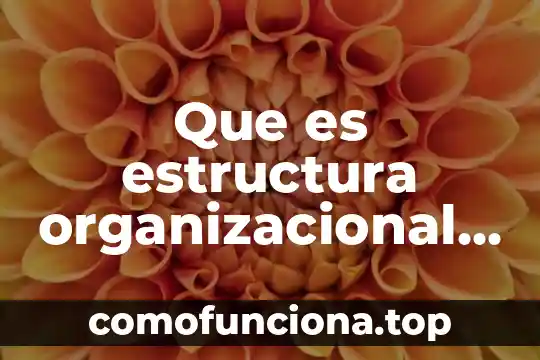 Que es inflexibilidad organizacional 3 Que es estructura organizacional matricial