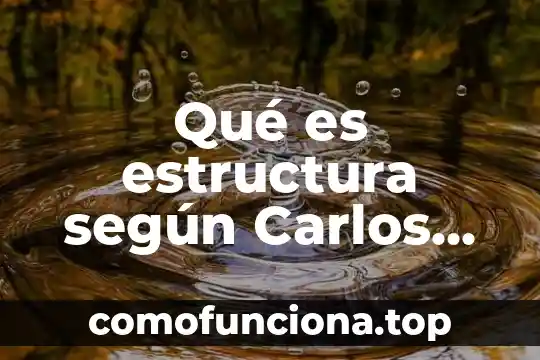 Que es la historia segun carlos marx 8 Qué es estructura según Carlos Marx