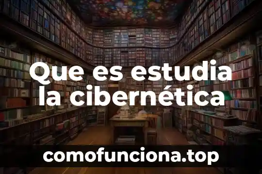 Qué es y qué estudia la estadística 4 Que es estudia la cibernética