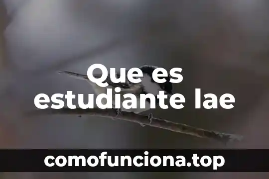 Que es la identidad personal del estudiante 3 Que es estudiante lae