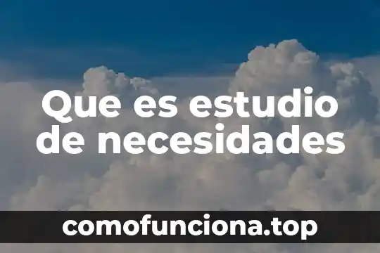 Que es el vegetal en dibujo en planta vegetal 8 Que es estudio de necesidades
