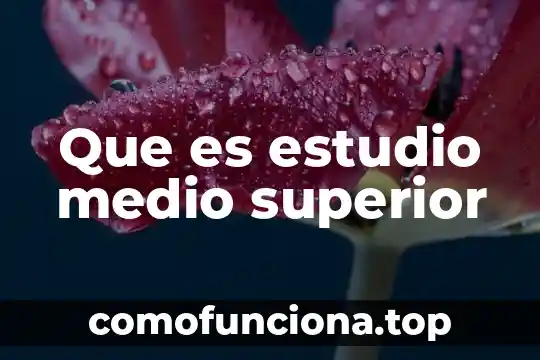 Que es una funcion emergente en educacion superior 8 Que es estudio medio superior