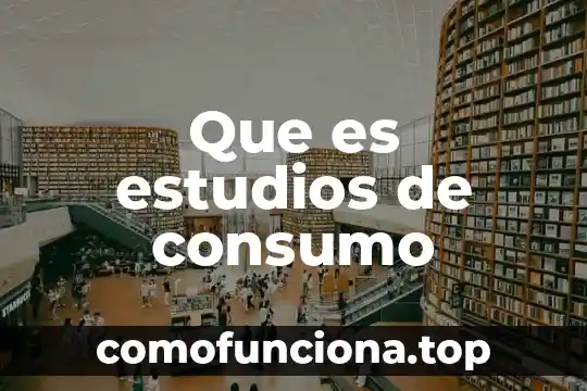 Que es lic en estudios socioterritoriales 6 Que es estudios de consumo