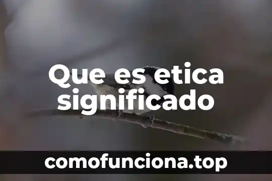 Que es genuina significado 5 Que es etica significado