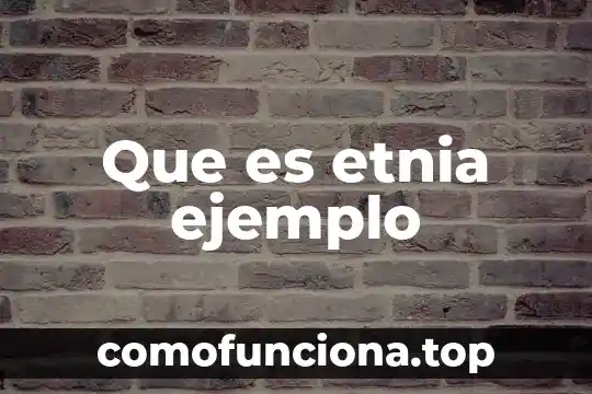 Que es contextualización en una investigación y ejemplo 5 Que es etnia ejemplo