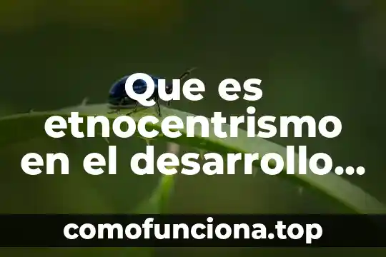 Que es el principio precautorio y el desarrollo sustentable 7 Que es etnocentrismo en el desarrollo sustentable