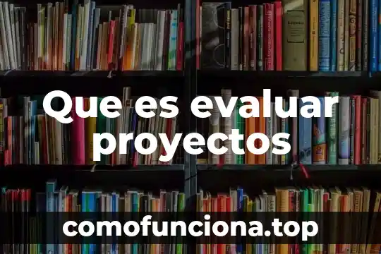 Que es un comprador de proyectos 5 Que es evaluar proyectos