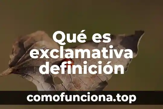 Qué es brocal definición 3 Qué es exclamativa definición