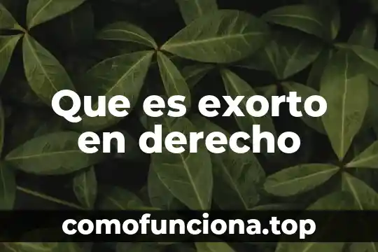 Que es una lanza y para que sirve 6 Que es exorto en derecho