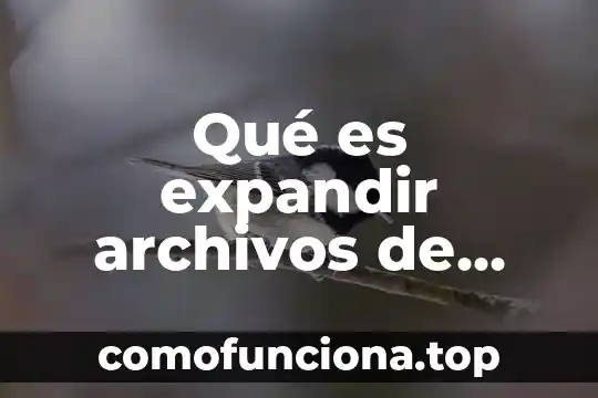 Qué es símbolo de sistema de Windows 6 Qué es expandir archivos de Windows
