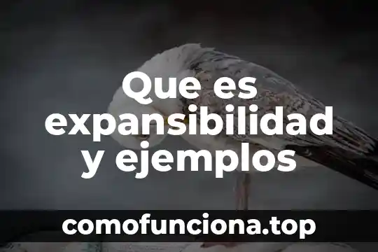 Que es cultura legalidad y ejemplos 6 Que es expansibilidad y ejemplos