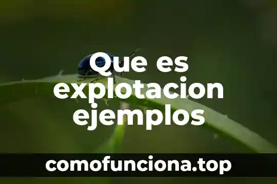 Que es cultura legalidad y ejemplos 7 Que es explotacion ejemplos