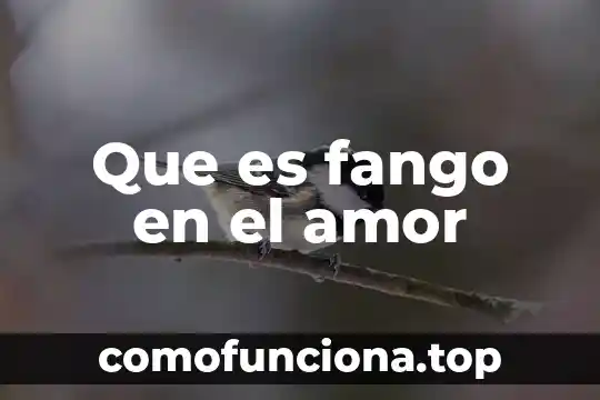 Que es alias de tarjeta opcional 6 Que es fango en el amor